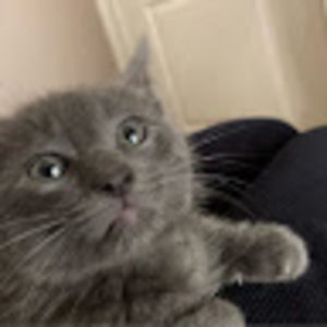 Meet your Posher, Kiera